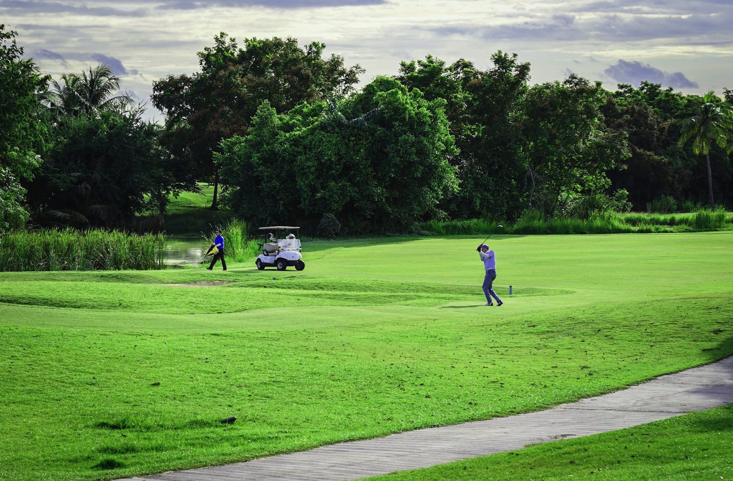 Sävy- ja kylläisyyssäätimien käyttö on lähtenyt tässä käsistä